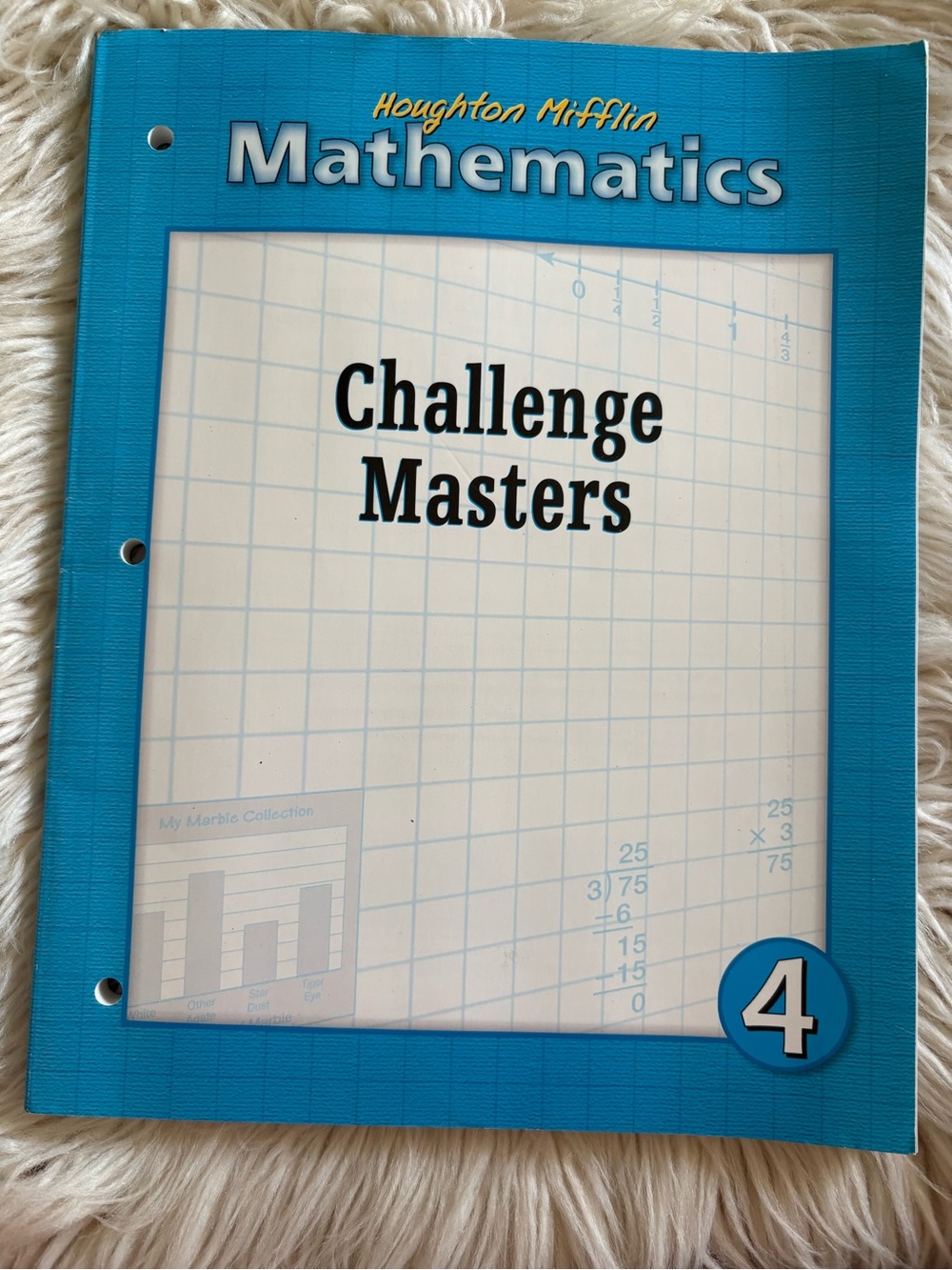 Houghton Mifflin Challenge Masters Mathematics 4 Student Workbook Homeschool